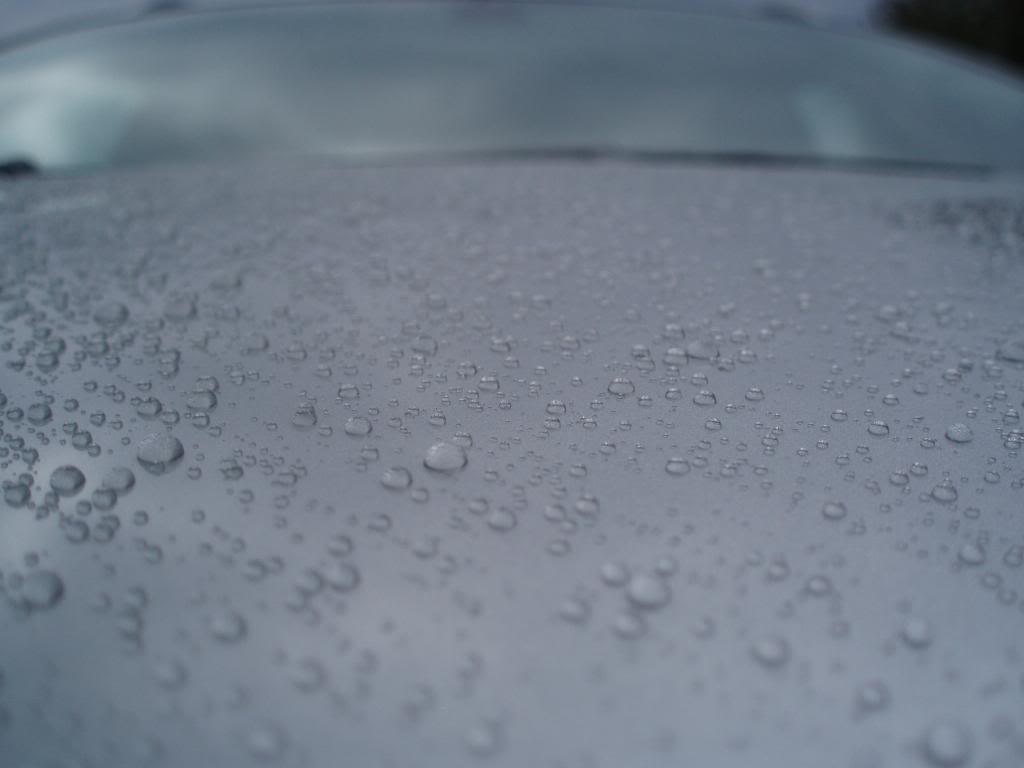 P1010115.jpg