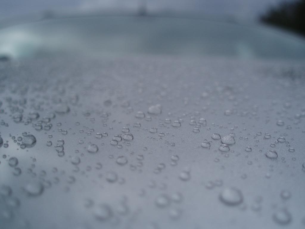 P1010117.jpg
