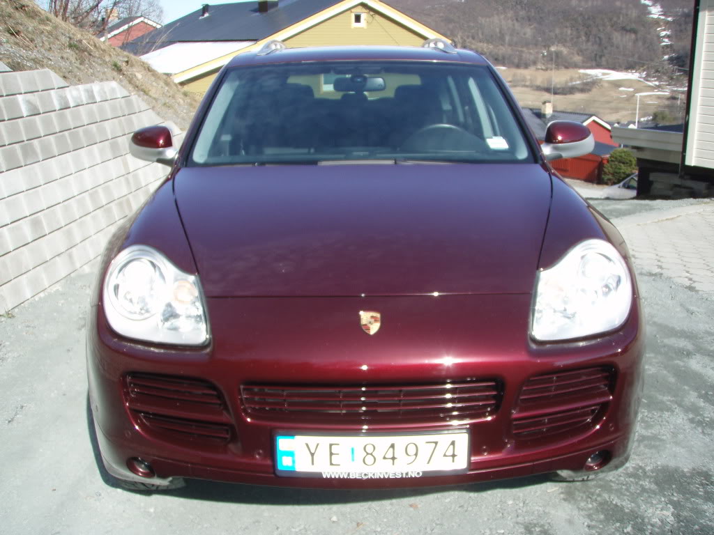 P1010134.jpg