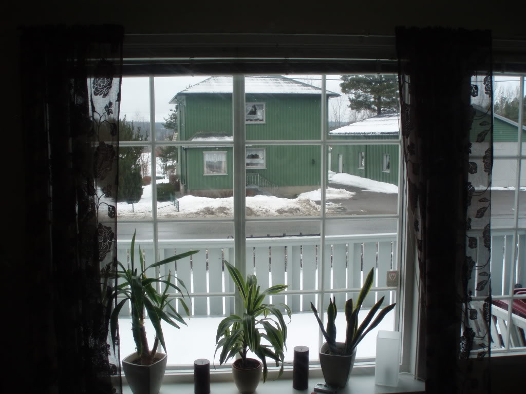 P1010261.jpg