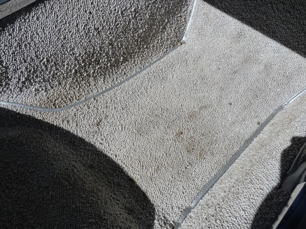 P1010817.jpg