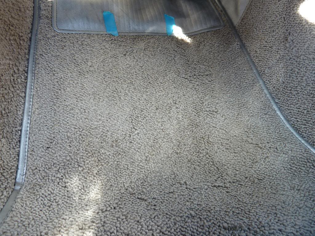 P1010842.jpg