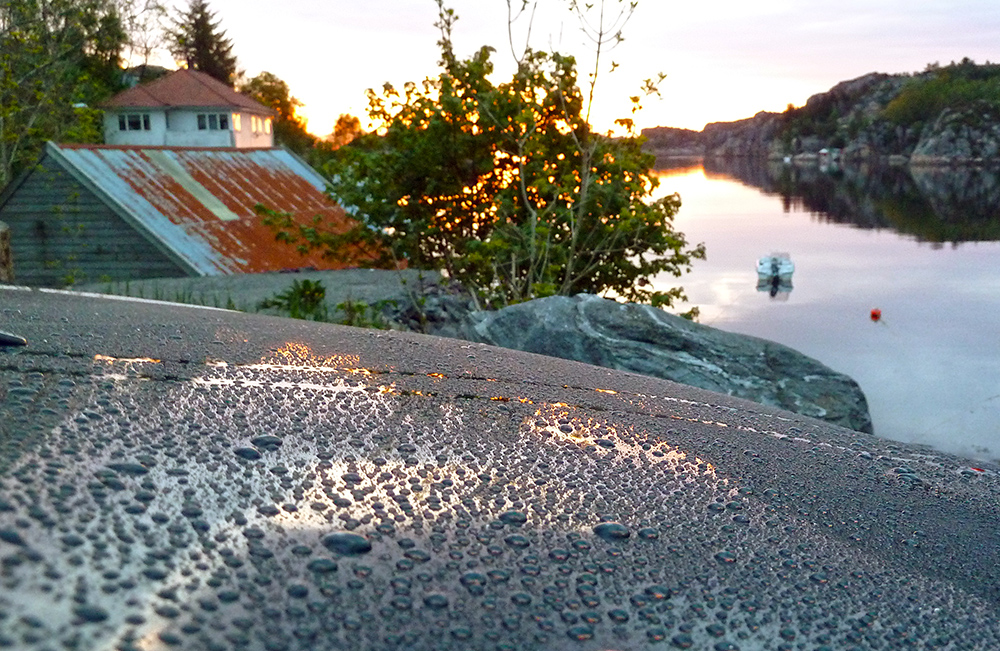 P1020239_zpse2181106.jpg