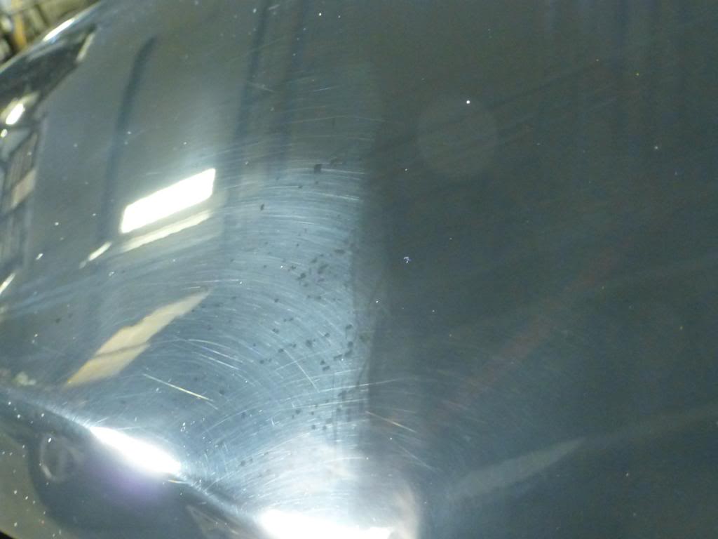 P1050427_zps11502e9e.jpg