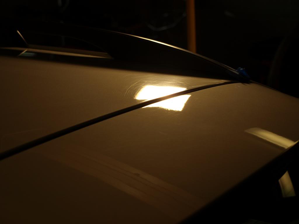 P3093319_zps5e9f2a95.jpg