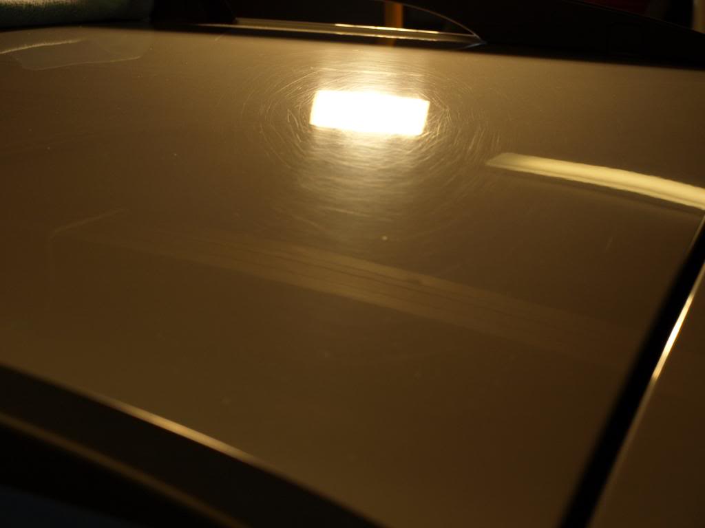 P3093321_zps89d326fa.jpg