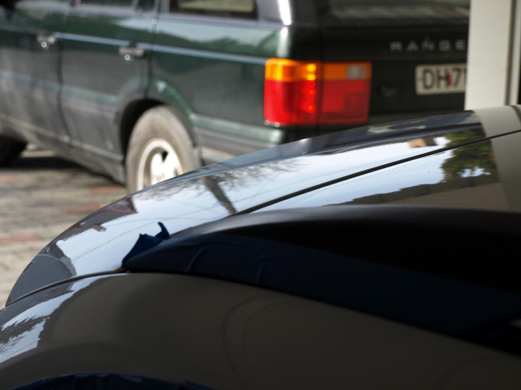 P3113332_zps0b575621.jpg