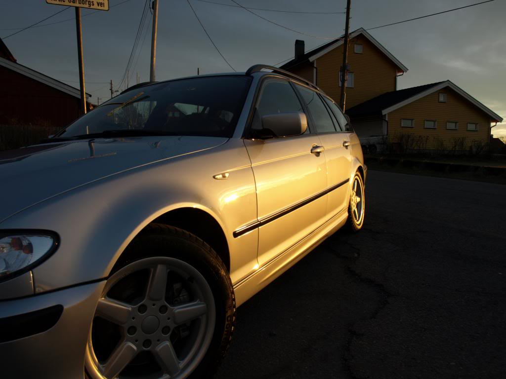 P3133354_zps113dbb17.jpg
