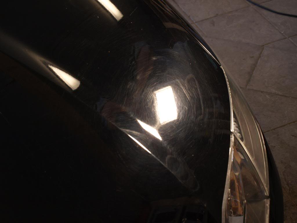 P4213501_zps0efe53a8.jpg
