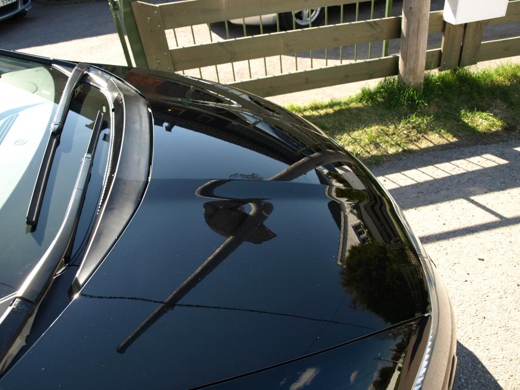 P4223595_zps4498a80d.jpg