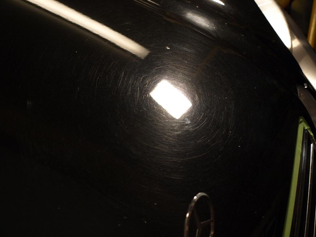 P5013634_zps1548c139.jpg