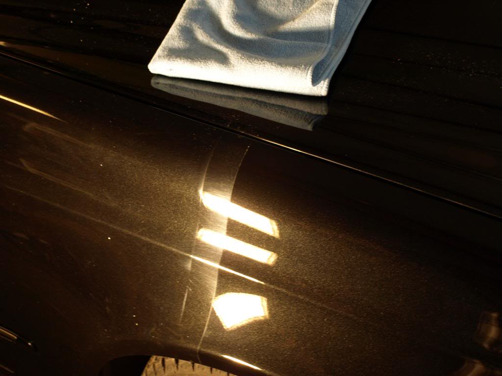 P5023703_zps0c0517a1.jpg