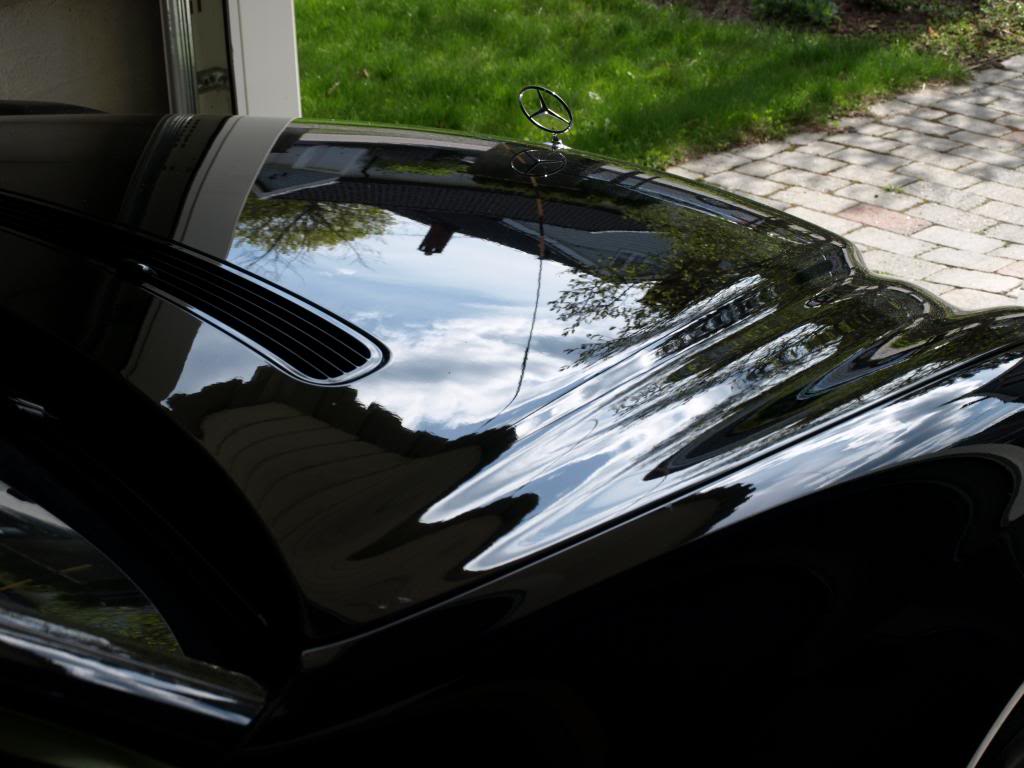 P5023721_zpsd0f93254.jpg