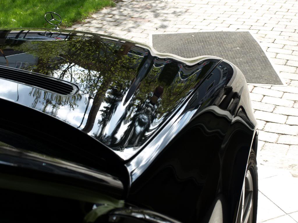 P5023723_zps5c2a768a.jpg