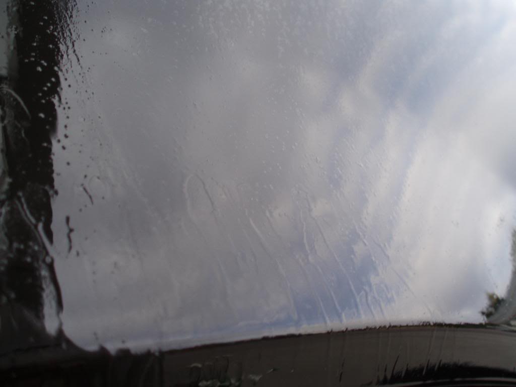 P5250099.jpg