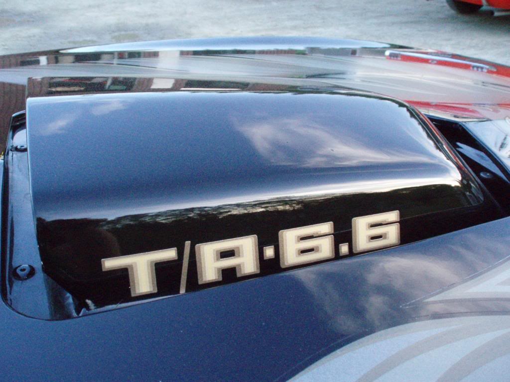 P5290095.jpg