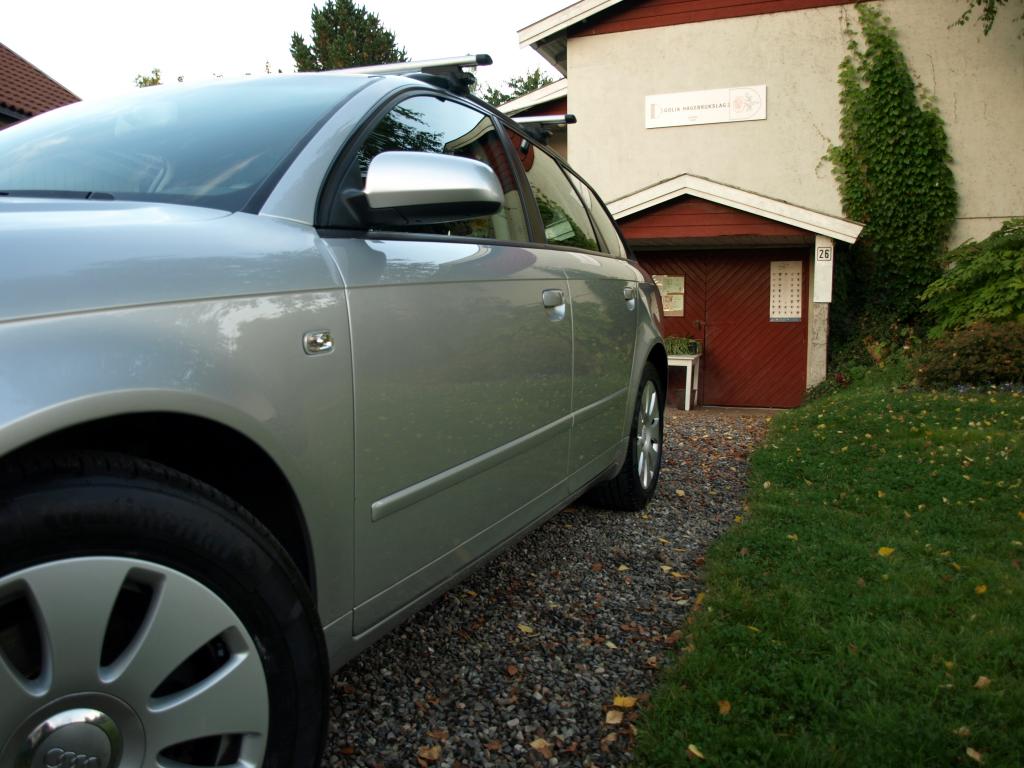 P9214080_zpsb34175ca.jpg