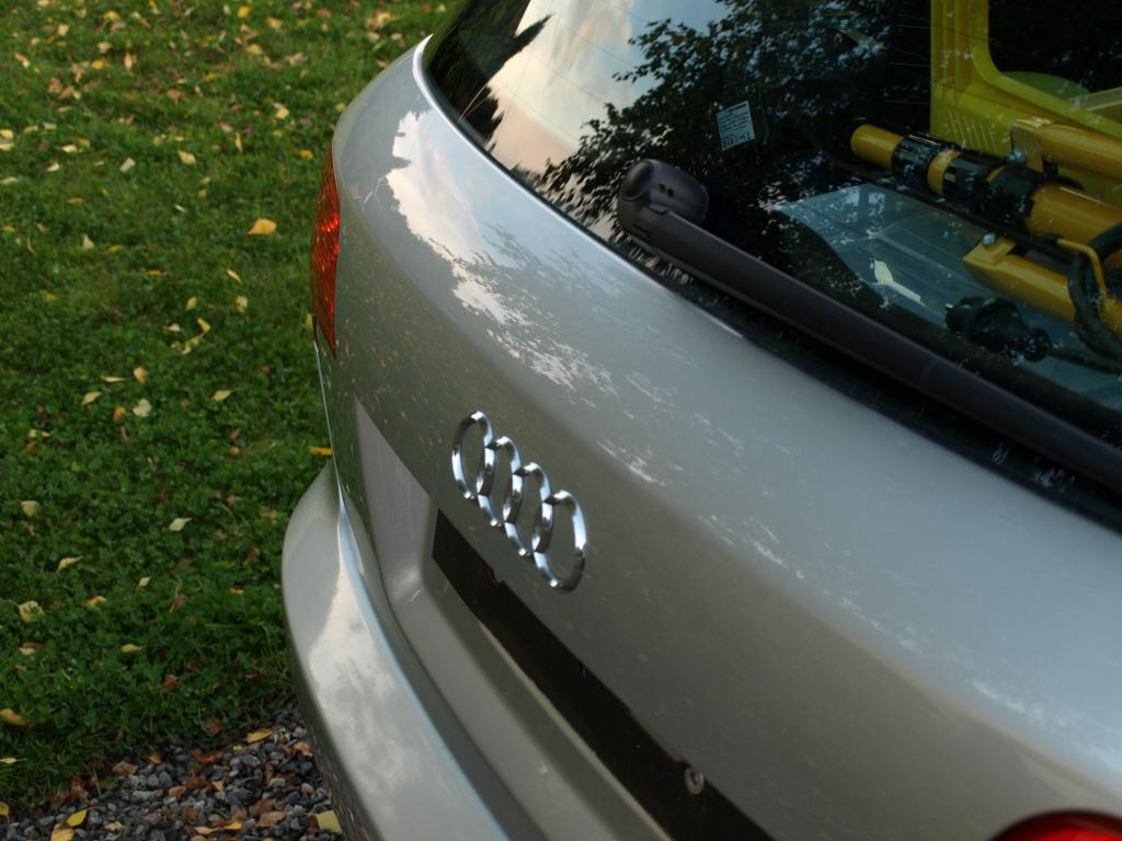 P9214092_zps46c9a2ad.jpg