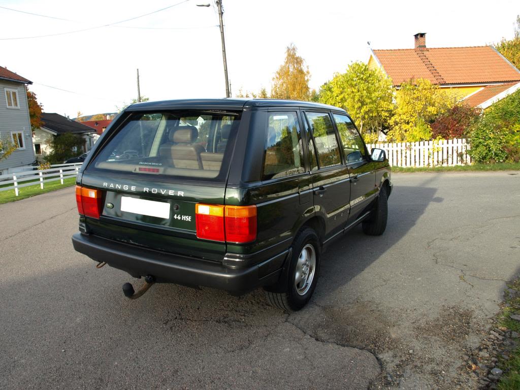 PA092254_zps2769572e.jpg