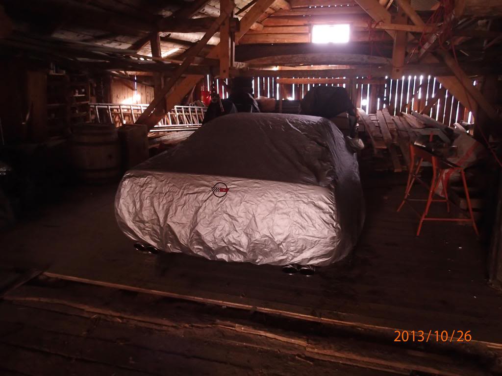 PA260063_zps64d184ac.jpg