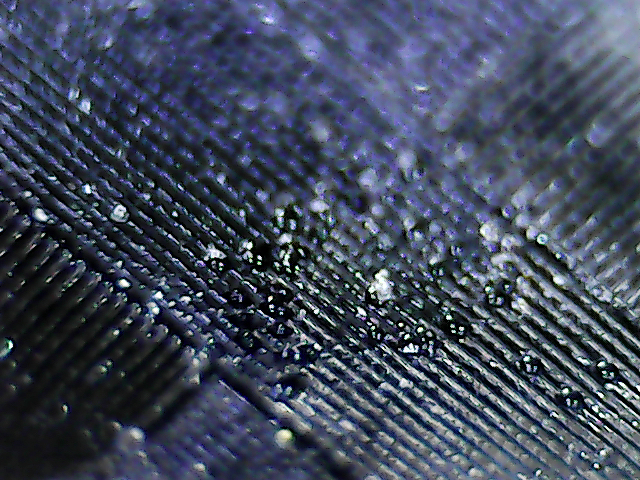 S20150825_049_zpswv2a6shv.jpg