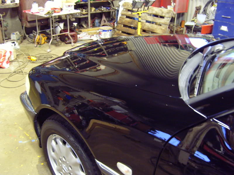 S7000772resized.jpg