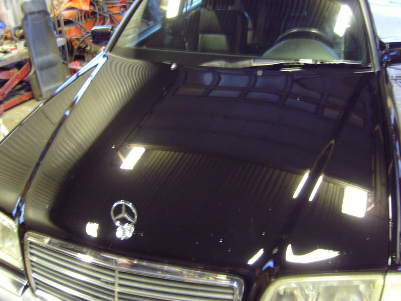 S7000776resized.jpg