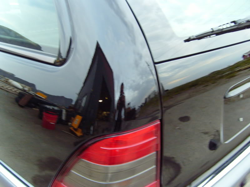 S7000785resized.jpg
