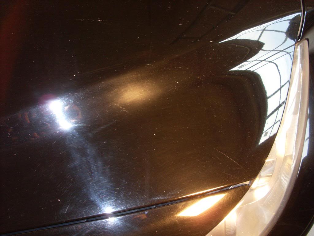 SL383200.jpg