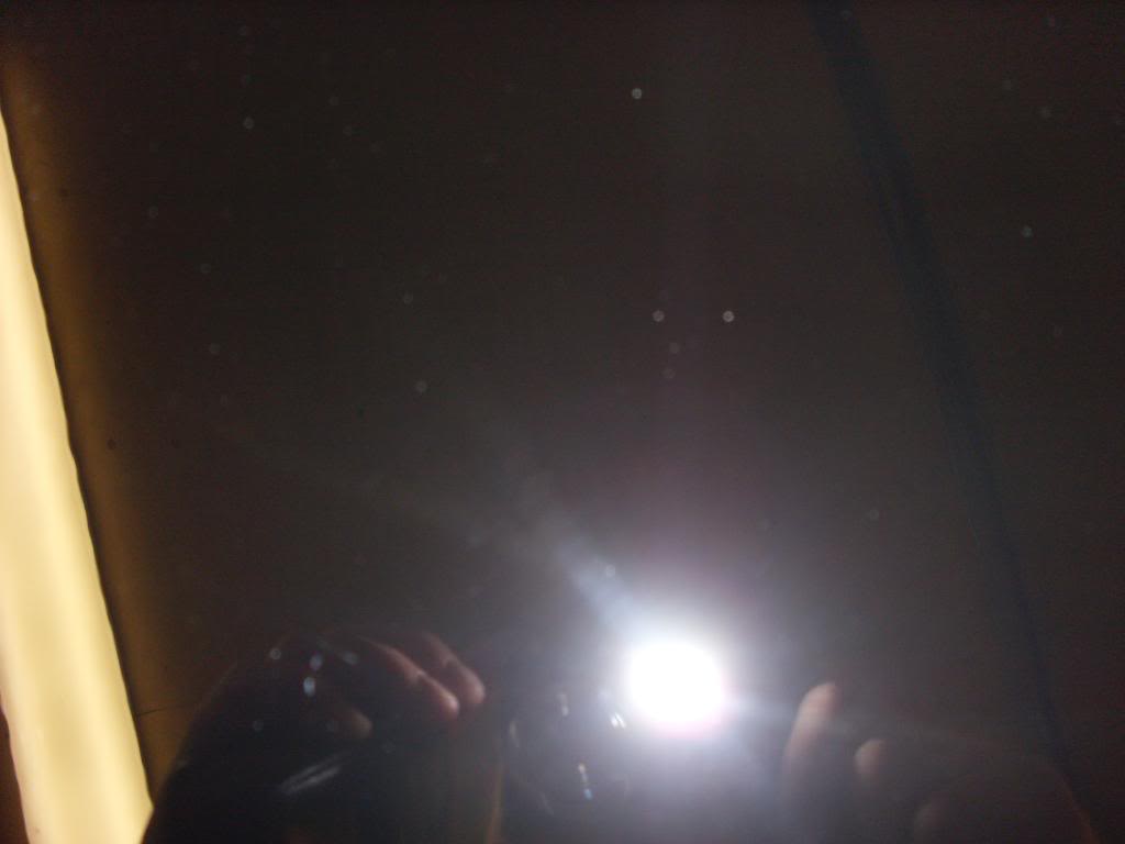 SL383220.jpg