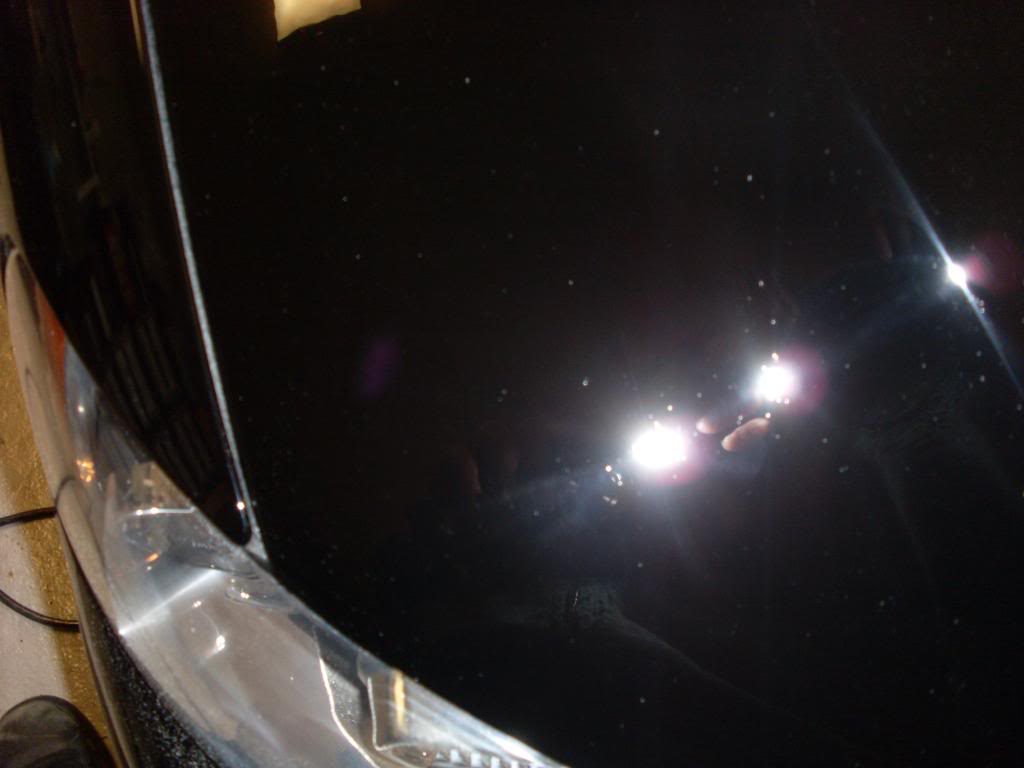 SL383227.jpg