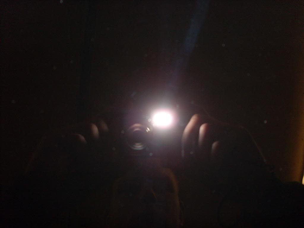 SL383289.jpg