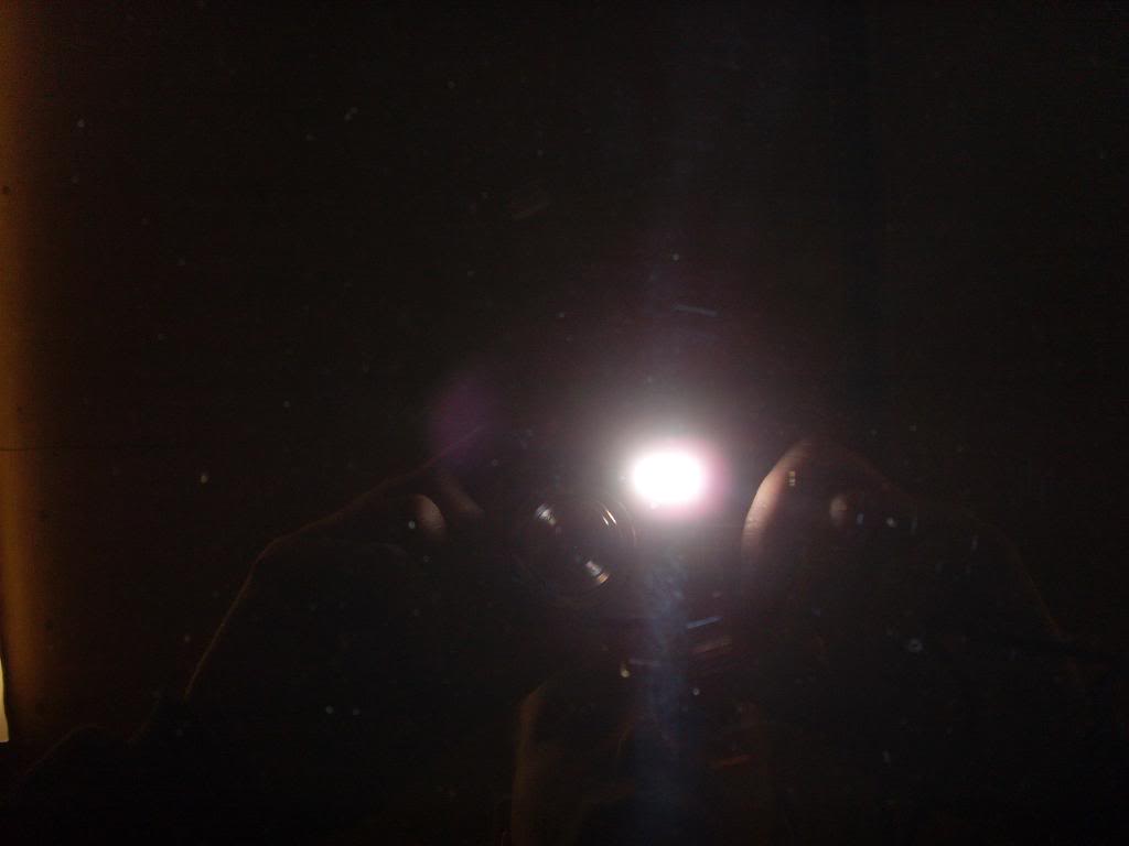 SL383290.jpg