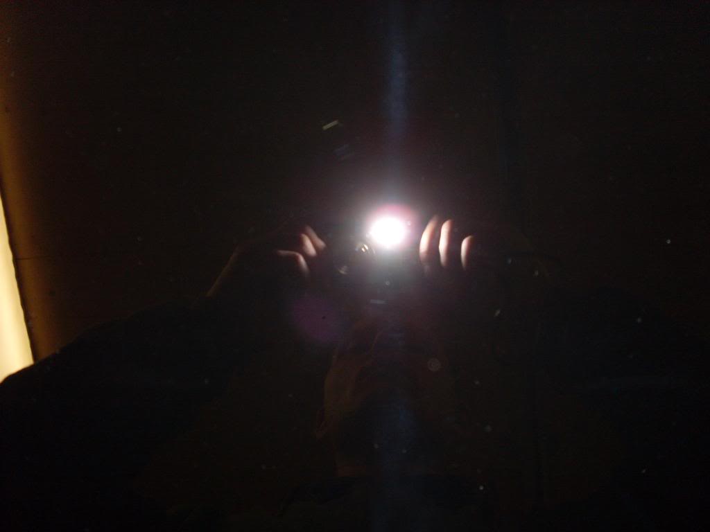 SL383291.jpg