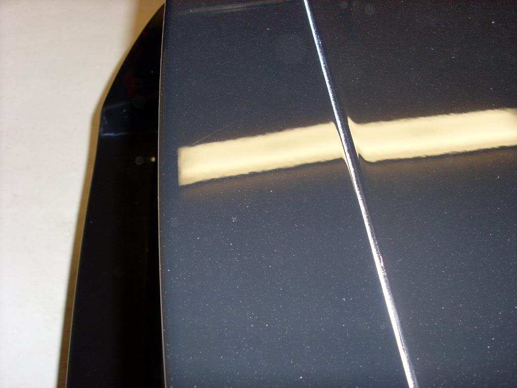 SL383295.jpg