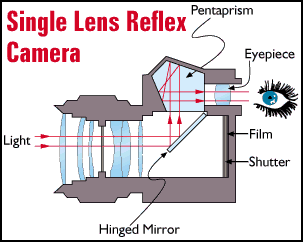 SLR.gif