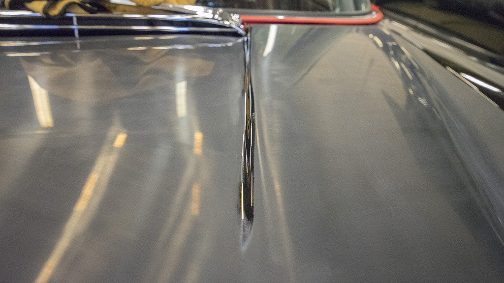 _DSC0454.jpg