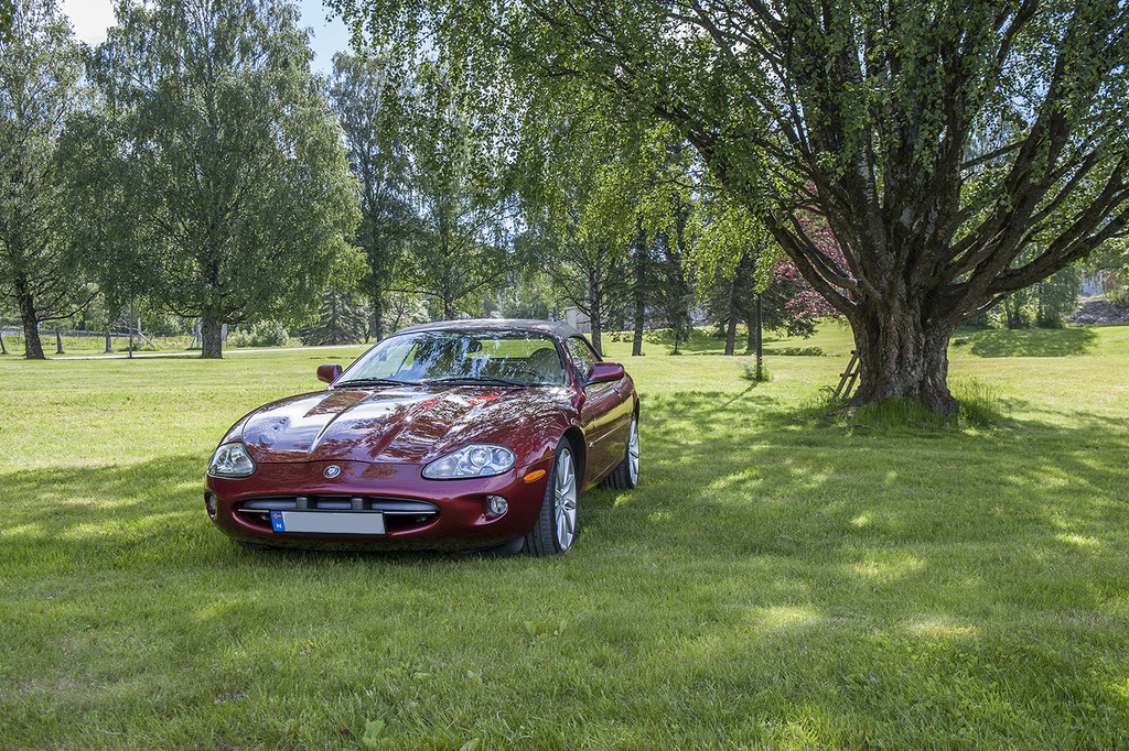 _DSC6404_1.jpg