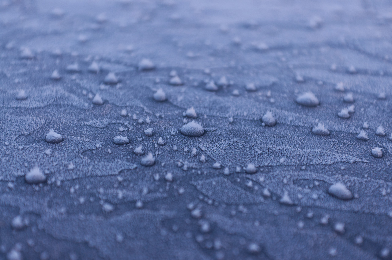 _DSC6582.jpg