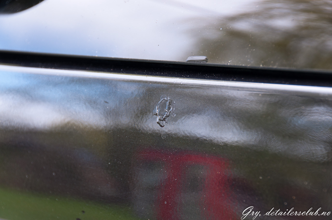 _DSC7640.jpg