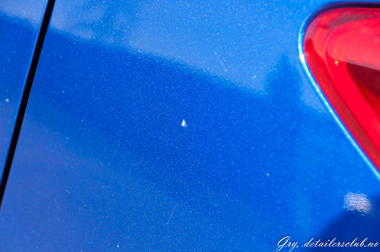 _DSC8488.jpg
