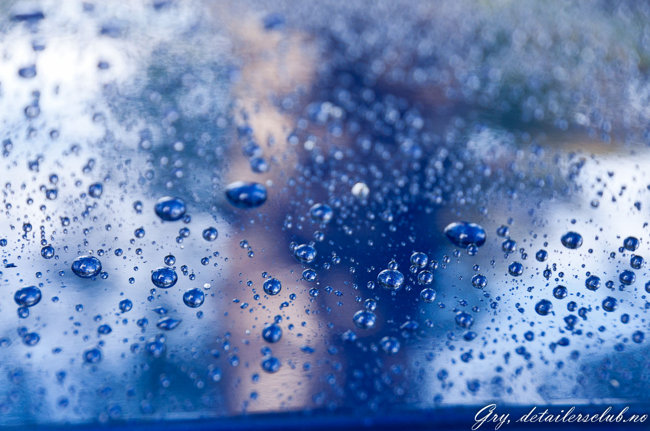 _DSC8580.jpg