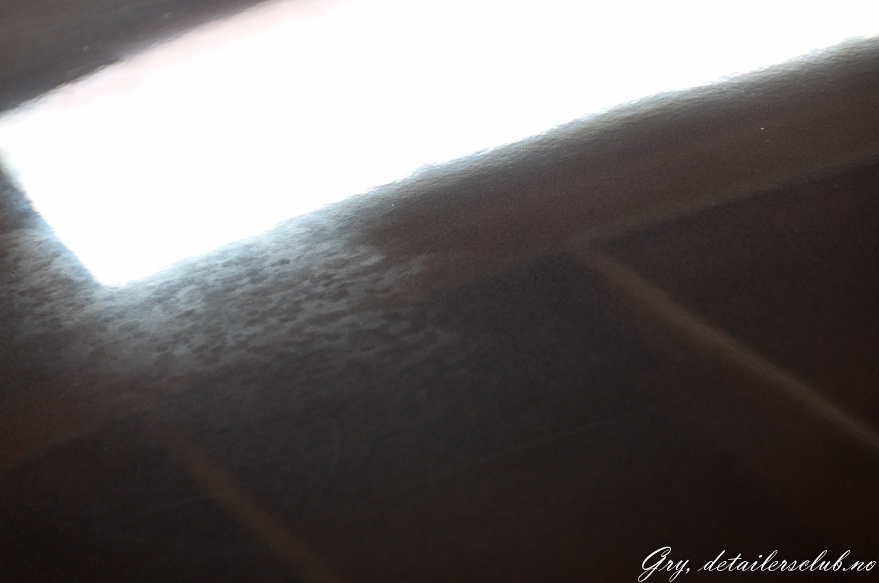 _DSC9483.jpg