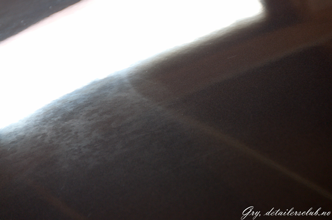 _DSC9484.jpg