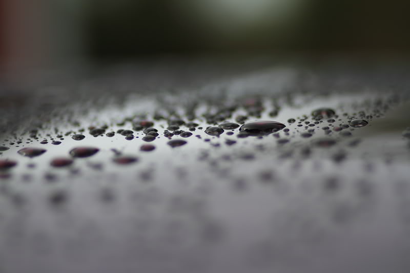 _MG_2117.jpg