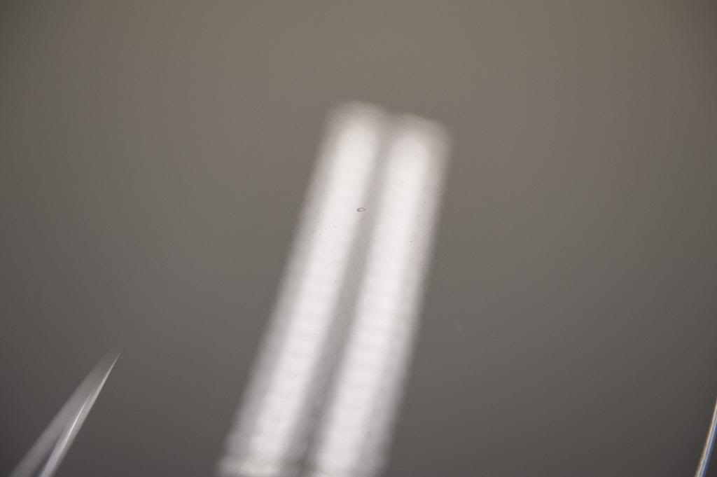 _RT12461.jpg