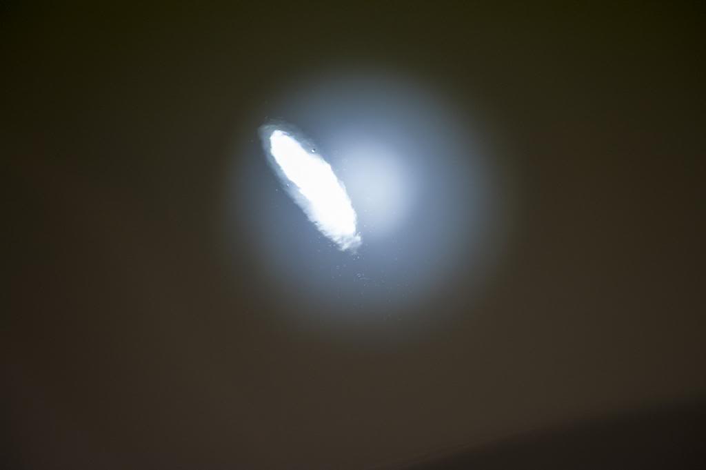 _RT12462.jpg