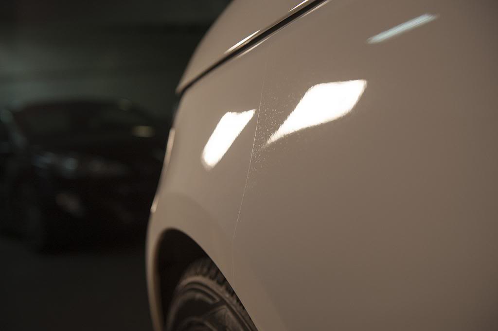 _RT12468.jpg