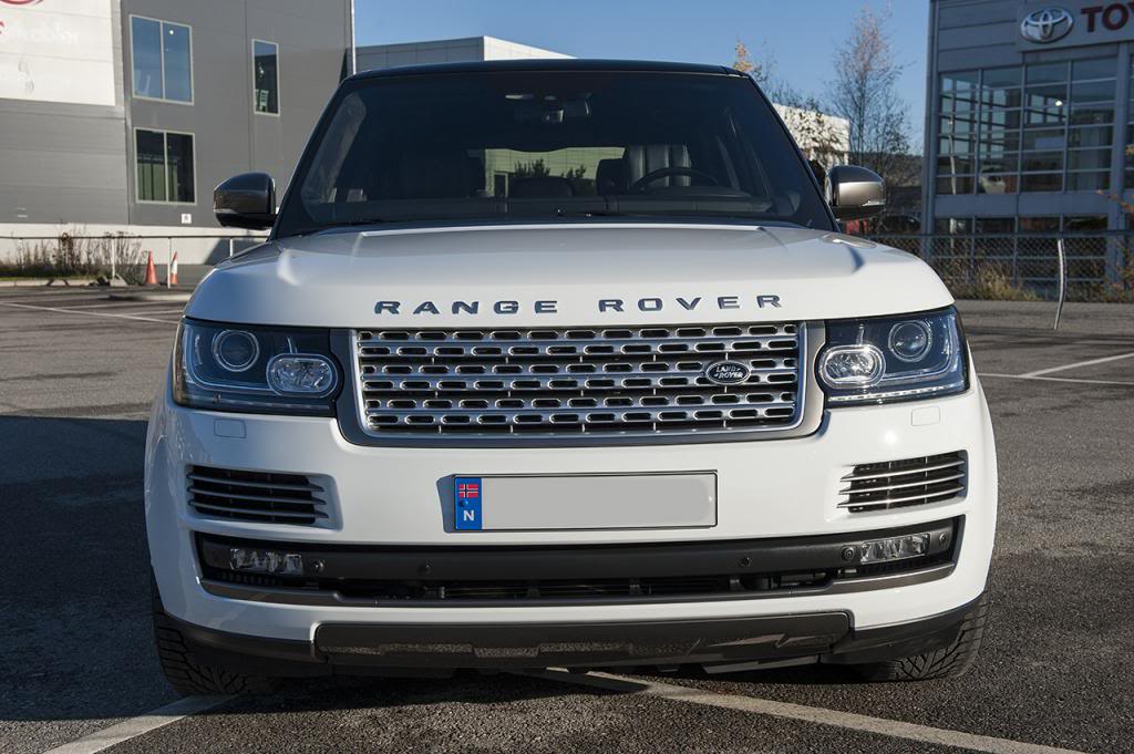 _RT12503.jpg