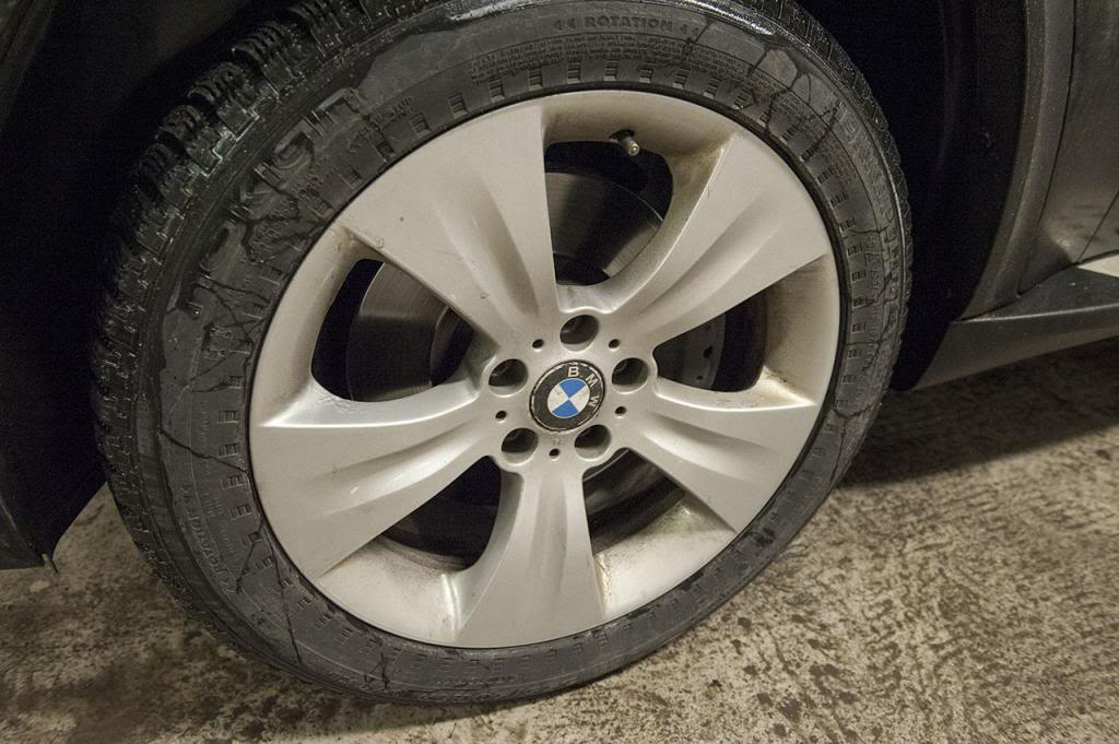 _RT12729.jpg